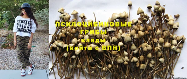 спиды Аркадак