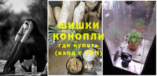 трава Балахна
