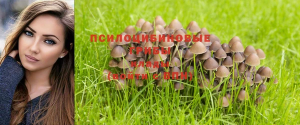 дживик Арсеньев
