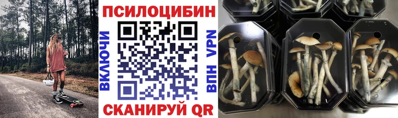Псилоцибиновые грибы Psilocybine cubensis  Купить где  Нижняя Салда 